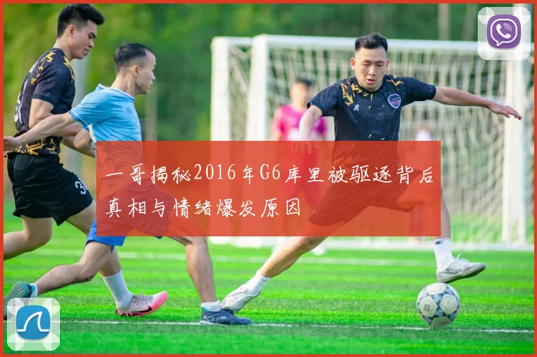 一哥揭秘2016年G6库里被驱逐背后真相与情绪爆发原因