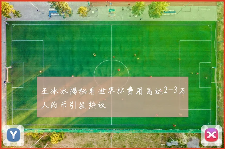 王冰冰揭秘看世界杯费用高达2-3万人民币引发热议