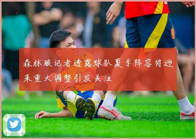 森林狼记者透露球队夏季阵容将迎来重大调整引发关注