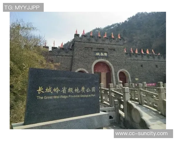 泰山队官方声明严厉打击未授权销售周边产品行为维护品牌形象 泰山队官方声明严厉打击未授权销售周边产品行为维护品牌形象