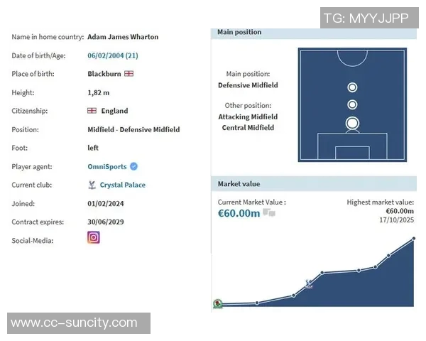 皇马密切关注水晶宫中场沃顿转会费或超8000万欧元